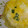 クックW4R6LQ☆'s cooksnap of when they made もやしと豚肉のとん平焼 (超手抜き).