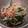 ポニーリボン's cooksnap of when they made ほうれん草とにんじんともやしのサラダ.