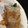 クックC2GECR☆'s cooksnap of when they made 簡単ほうれん草チーズの豚巻き ゆかり活用.