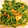 すぬ♥'s cooksnap of when they made 豆苗とキムチのごま和え.