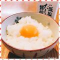 nakamucchi's cooksnap of when they made 究極のＴＫＧ☆エアリーたまごかけごはん.