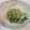 パトラ☆☆'s cooksnap of when they made 白菜とチンゲン菜のツナのポン酢和え.