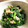 ちづりんも's cooksnap of when they made 菜の花とツナのマスタードマヨ和え.