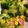 クックYEPDPQ☆'s cooksnap of when they made ブロッコリーとウィンナーのバター炒め.