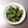 アクセル☆'s cooksnap of when they made もったいないから…わさび菜の茎の浅漬け.