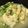 天下の大将軍ですよ's cooksnap of when they made ヘルシー和総菜◎ブロッコリーの卵とじ豆腐.