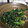 天下の大将軍ですよ's cooksnap of when they made 常備菜の定番に！ほうれん草の胡麻和え☆.