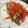 クックXJBUFF☆'s cooksnap of when they made 簡単！揚げずにシシャモの南蛮漬け♪.