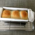 AF312Y☆'s cooksnap of when they made こねないパン生地・ミルクパン.