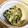 きゃりたんぺ's cooksnap of when they made 博多　おいしい菜のからしマヨ和え。.