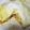 コリサオ's cooksnap of when they made メレンゲでふわふわ親子丼.