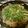 ぎしを's cooksnap of when they made 余ったイカの塩辛パスタ.