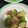 ゆきりんこ。's cooksnap of when they made まだ早いけど今食べたい！硬いアボカド炒め.