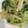 いずみはる's cooksnap of when they made おつまみに♪セロリのからし酢和え.