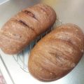 みなこパレス's cooksnap of when they made ココアチョコカンパーニュ.