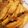イルカとくま。's cooksnap of when they made 入れて煮るだけ簡単☆鶏手羽のすっぱ煮.