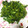 リンダA's cooksnap of when they made めんつゆで簡単☆菜の花のからし和え.