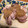 アンバーママ's cooksnap of when they made 鶏の塩焼き たまねぎ甘酢だれ.