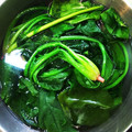 金魚のひらり's cooksnap of when they made 料理の基本・ほうれん草の茹で方.