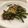 KAORU4649's cooksnap of when they made ご飯がすすむ鶏肉とニンニクの芽の炒め物.