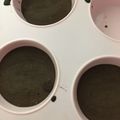 iroha＊ママ's cooksnap of when they made 片栗粉で簡単チョコカップケーキ☆.