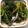 クックSG4UXE☆'s cooksnap of when they made *冷凍のままほうれん草のナムル＊.