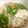 はらぺこしろうさぎ's cooksnap of when they made 子供でも食べれるキムチ鍋(･ω･☆ｷﾗ.