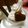 りこまこせいやのパパ's cooksnap of when they made チョコパフェ.