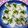 みなみ7's cooksnap of when they made ネギとしょうがで風味増し♡イカにぎり寿司.