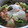 タイシーン's cooksnap of when they made 激旨！鮭丼！！.