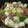 ｹﾝﾎﾟｺ's cooksnap of when they made 簡単‼長ネギとマッシュルームのアヒージョ.