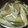 ヨシヨッシー's cooksnap of when they made 身がふっくら♡アサリと長ネギのみそ汁.