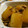 maruru-nn's cooksnap of when they made 簡単、優しい味＊大根とツナの煮物.