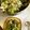 １０月's cooksnap of when they made 蒸し鶏とがごめ昆布おぼろのサラダ.