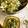１０月's cooksnap of when they made 蒸し鶏とがごめ昆布おぼろのサラダ.