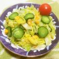 えれぼん's cooksnap of when they made キャベツとキュウリのさっぱりサラダ.