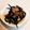 クック5WI343☆'s cooksnap of when they made ひじきの煮物.