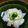 たろう713's cooksnap of when they made 塩麹で簡単美味しい♪かぶのお漬け物.