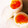 chakow's cooksnap of when they made とろーり簡単半熟煮タマゴ.