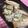 ♡KMS♡'s cooksnap of when they made エリンギのソテー.