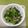 クックT59A9J☆'s cooksnap of when they made なばなとベーコンの簡単炒め.