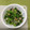 クックT59A9J☆'s cooksnap of when they made なばなとベーコンの簡単炒め.