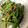 クックDFI5G9☆'s cooksnap of when they made いんげんの胡麻和え【定番の簡単1品】.