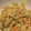 ohmagari's cooksnap of when they made ごはんがすすむ！たらこの炒り煮.