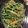 クックR9QJIM☆'s cooksnap of when they made 豆苗とにんじんのナムル.