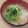 きらり流れ星's cooksnap of when they made 白菜の菜花のお味噌汁.