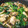 クック3YS26T☆'s cooksnap of when they made 牡蠣＆ほうれん草のアヒージョ☆.