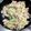 パフミーコ's cooksnap of when they made 捨てるの待った！ブロッコリー芯の炒めもの.