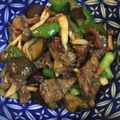＊みみ６６＊'s cooksnap of when they made ナスとピーマンの青椒肉絲風.