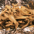 らぱこっこ's cooksnap of when they made ◆簡単旨いきのこマヨ！ 鮭のホイル焼き◆.